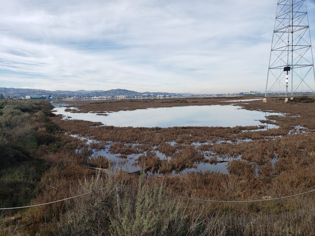 Redwood City, CA